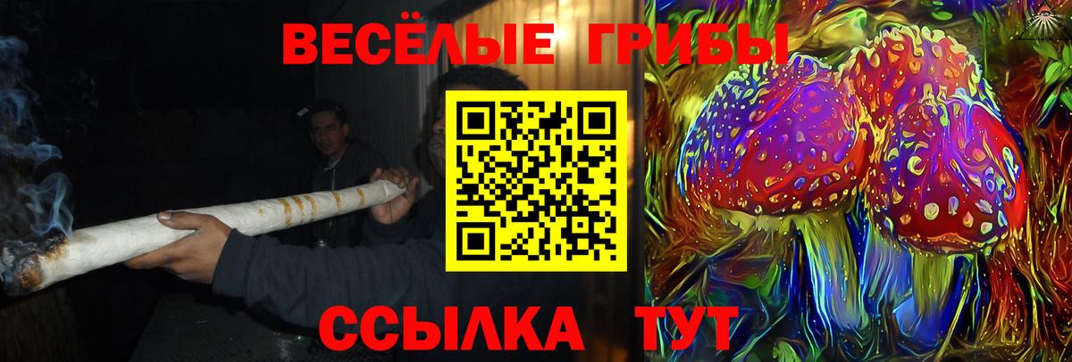 Псилоцибиновые грибы мицелий Копейск